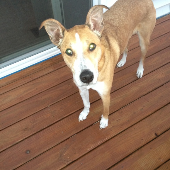 Meet your Posher, Ryan - Picture 2 of 2